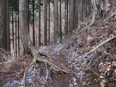 20160204hike (80)